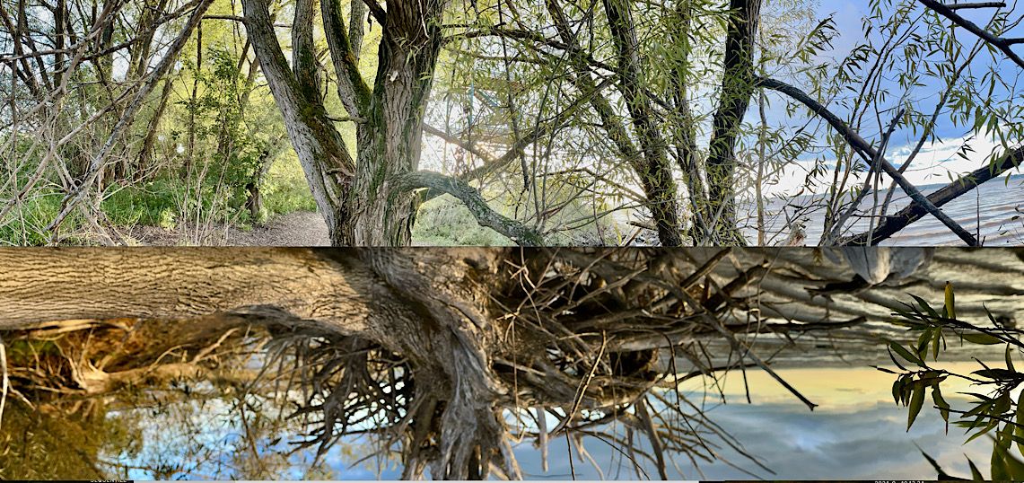 Vignette exposition photographe Jean-Jacques Ringuette